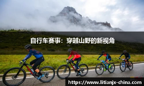 乐发IV